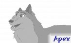 apex