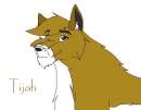 Tijah