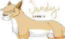 Sandy