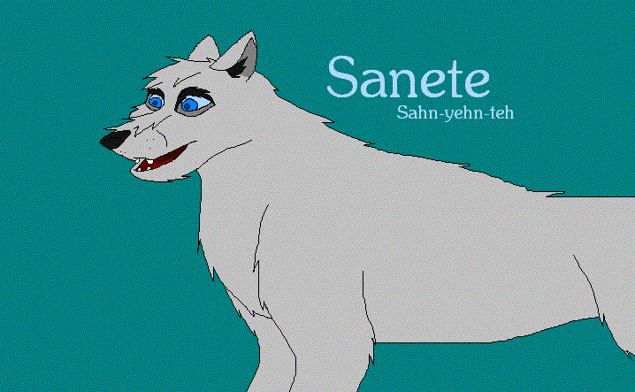 This is Sanete
