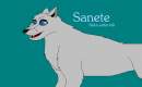 This is Sanete