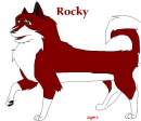 Rocky!