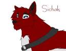 Sichak
