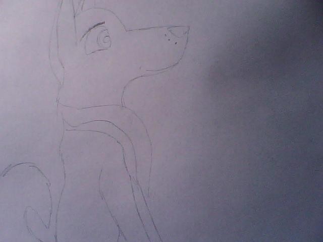Copper ;D
