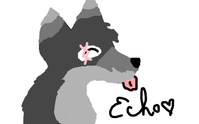 ECHO,echoechoecho..