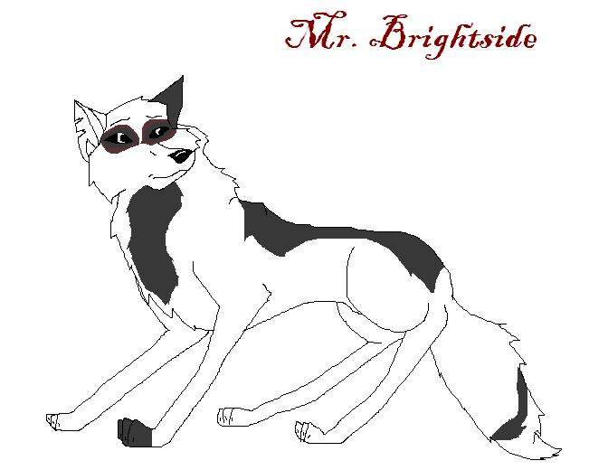 Mr. Brightside