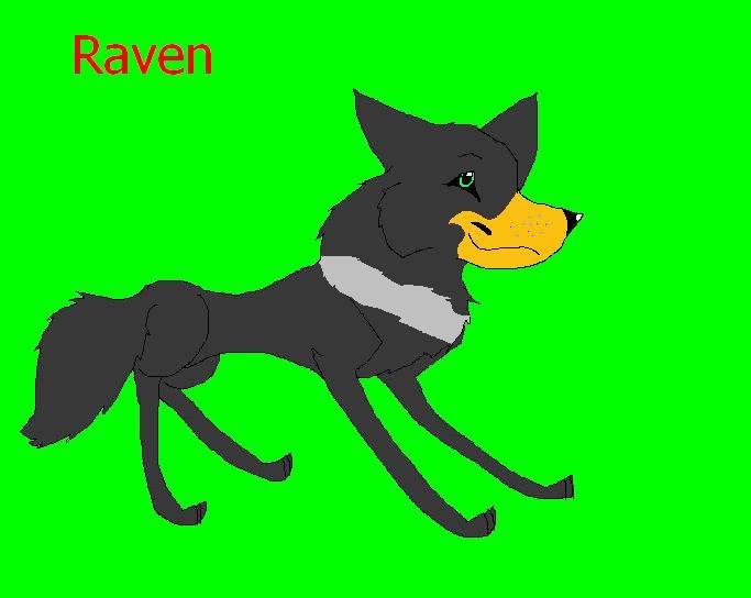 Raven
