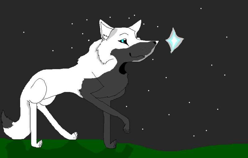 Face to Face With a Star