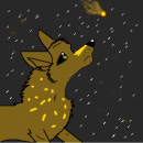 Like a Comet