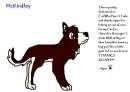 McKindley