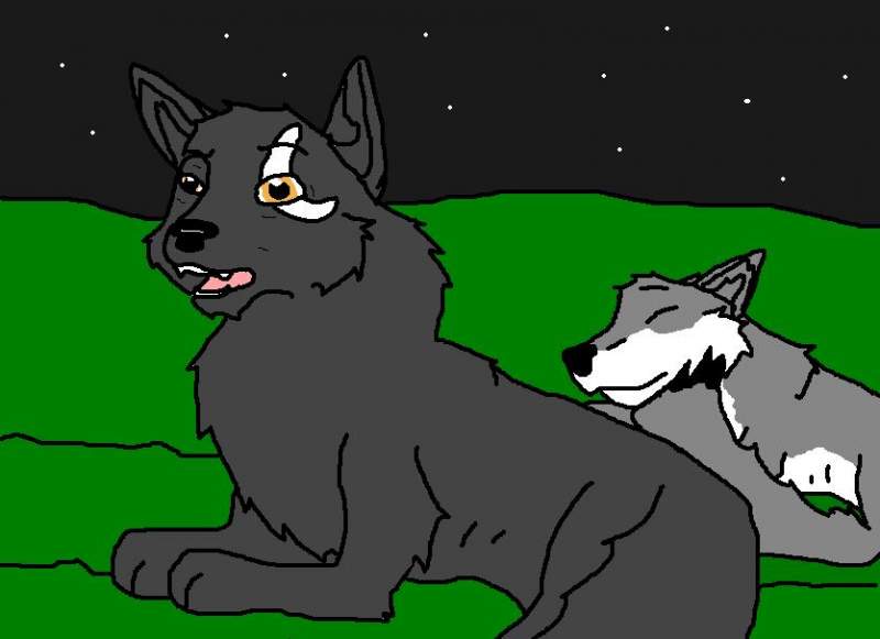 Moon-Crest and Capriccio