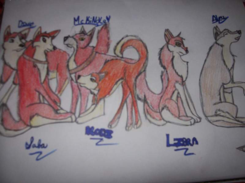 Family Portrait
