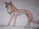 Balto