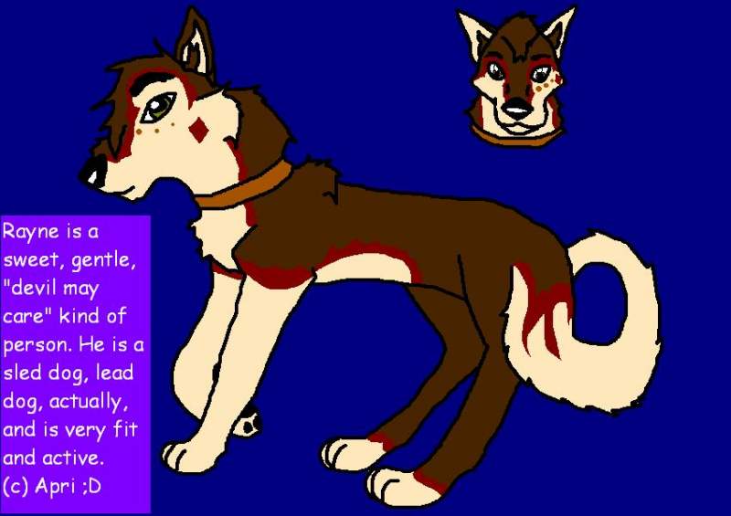 Rozalyn's Mate contest