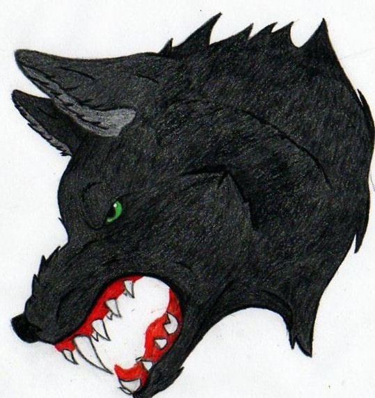 Ara, Snarl