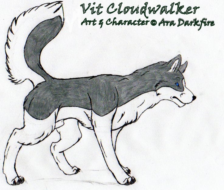 Vit Cloudwalker