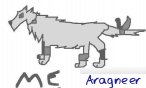 aragneer