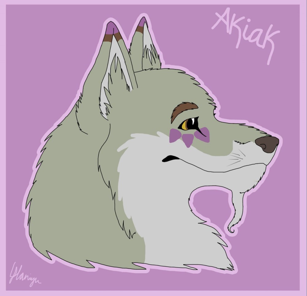 Akiak 09