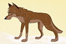 Balto in the Snow