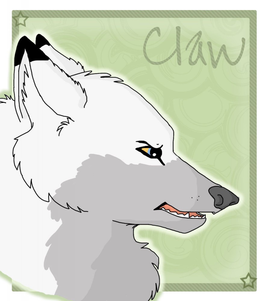 Claw 09