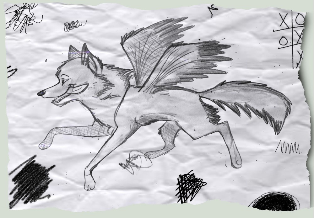 Wings