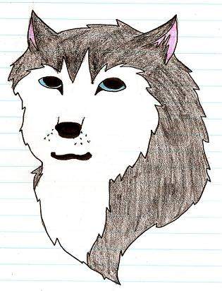 Husky