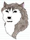 Husky