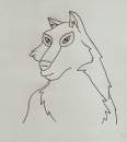 Aniu