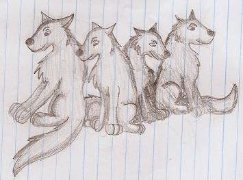 Wolf friends to the end