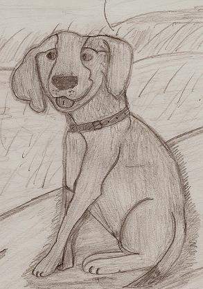 doggy