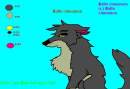 balto cinnamon