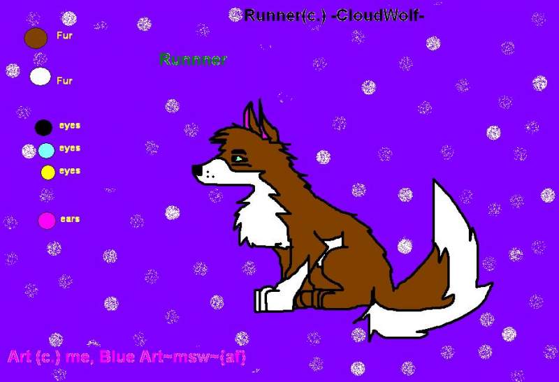 runner for -CloudWolf-