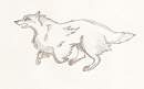 Running dog