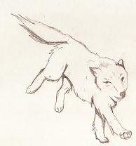 Running wolf