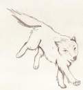 Running wolf