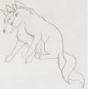 Wolf mates