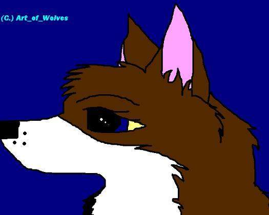 -CloudWolf-
