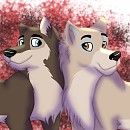Wolfdog brothers