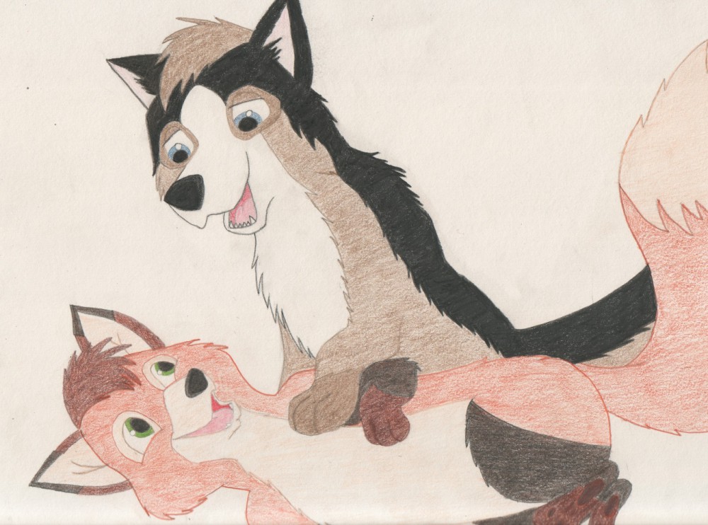 The fox and the wolf