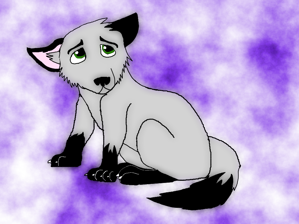 Akim Puppy