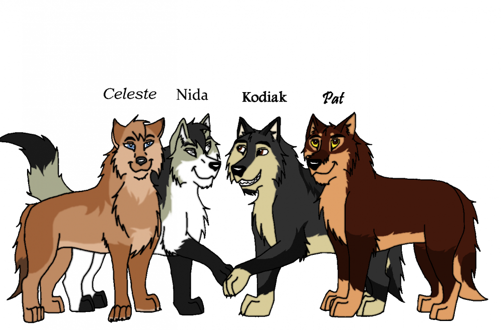 Group pic - Colored 