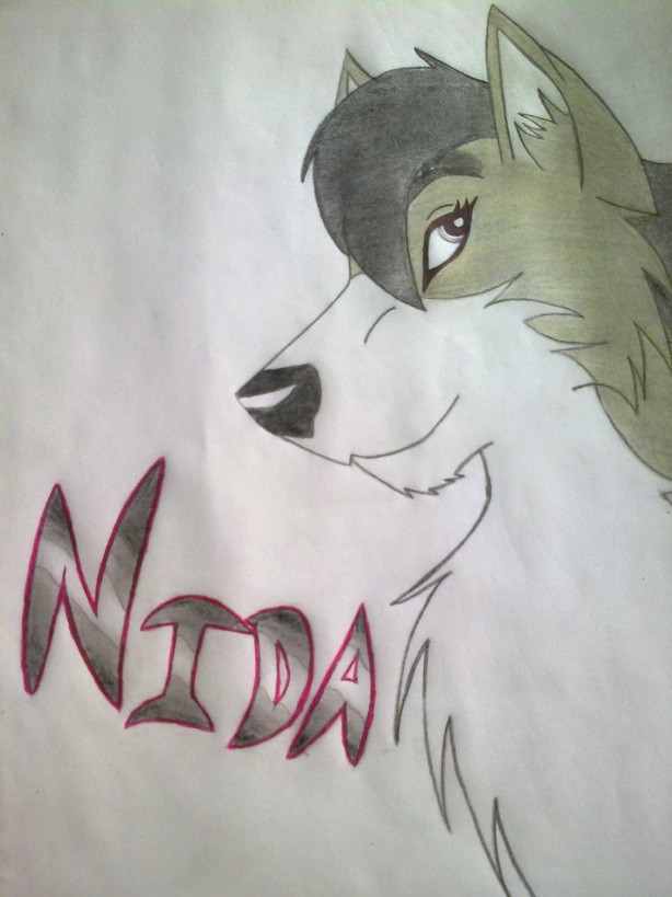 Nida