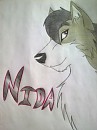 Nida
