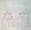Kodiak vs Niju
