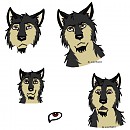 Kodiak faces