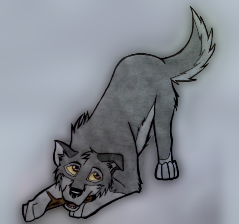 Balto puppy!