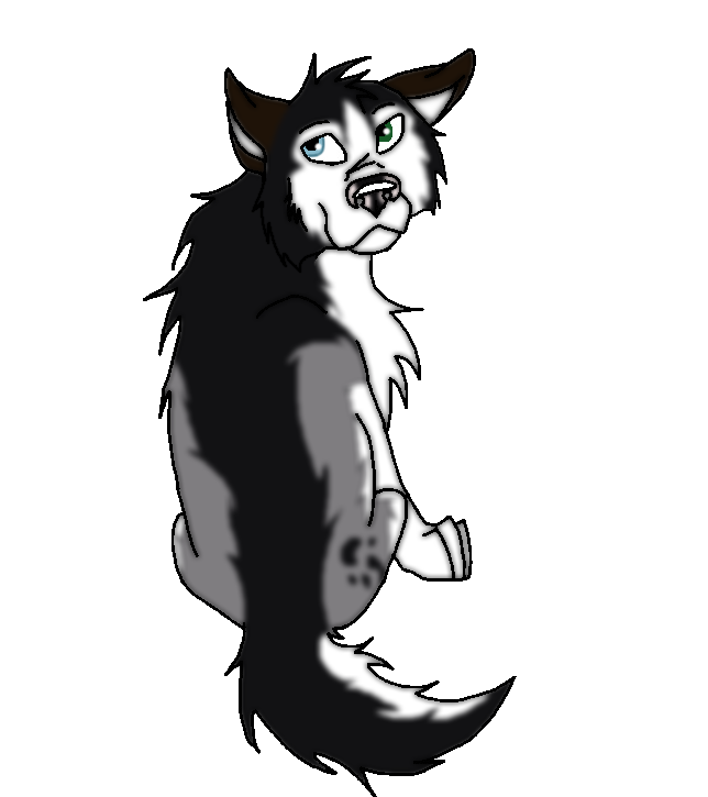 Contest prize 