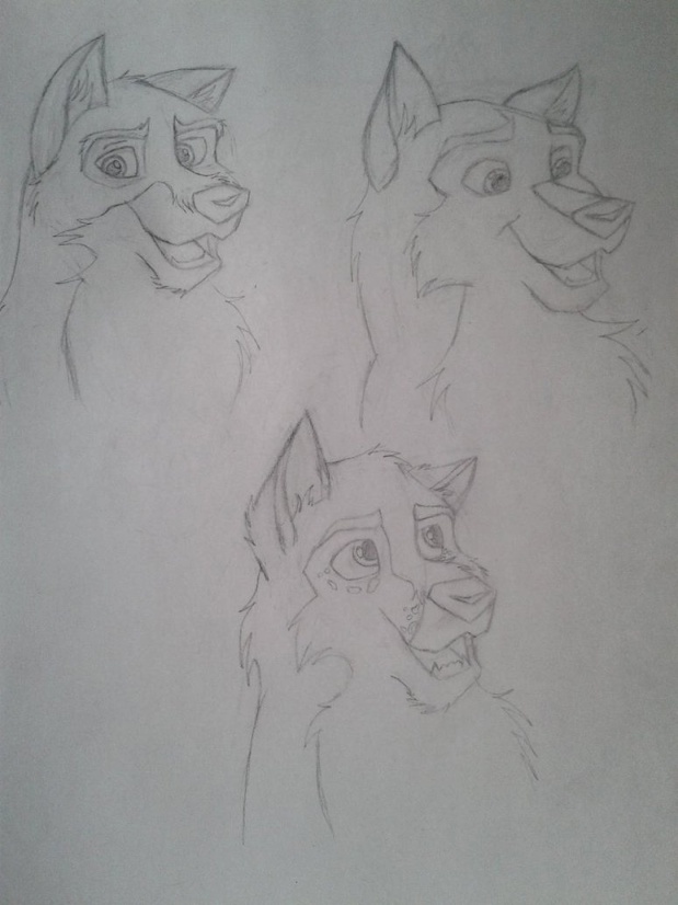 Sketch
