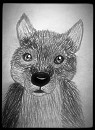 Pencil pup