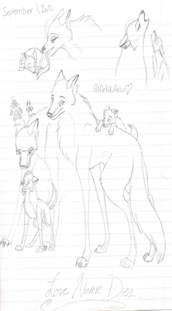 Aniu and Balto <3